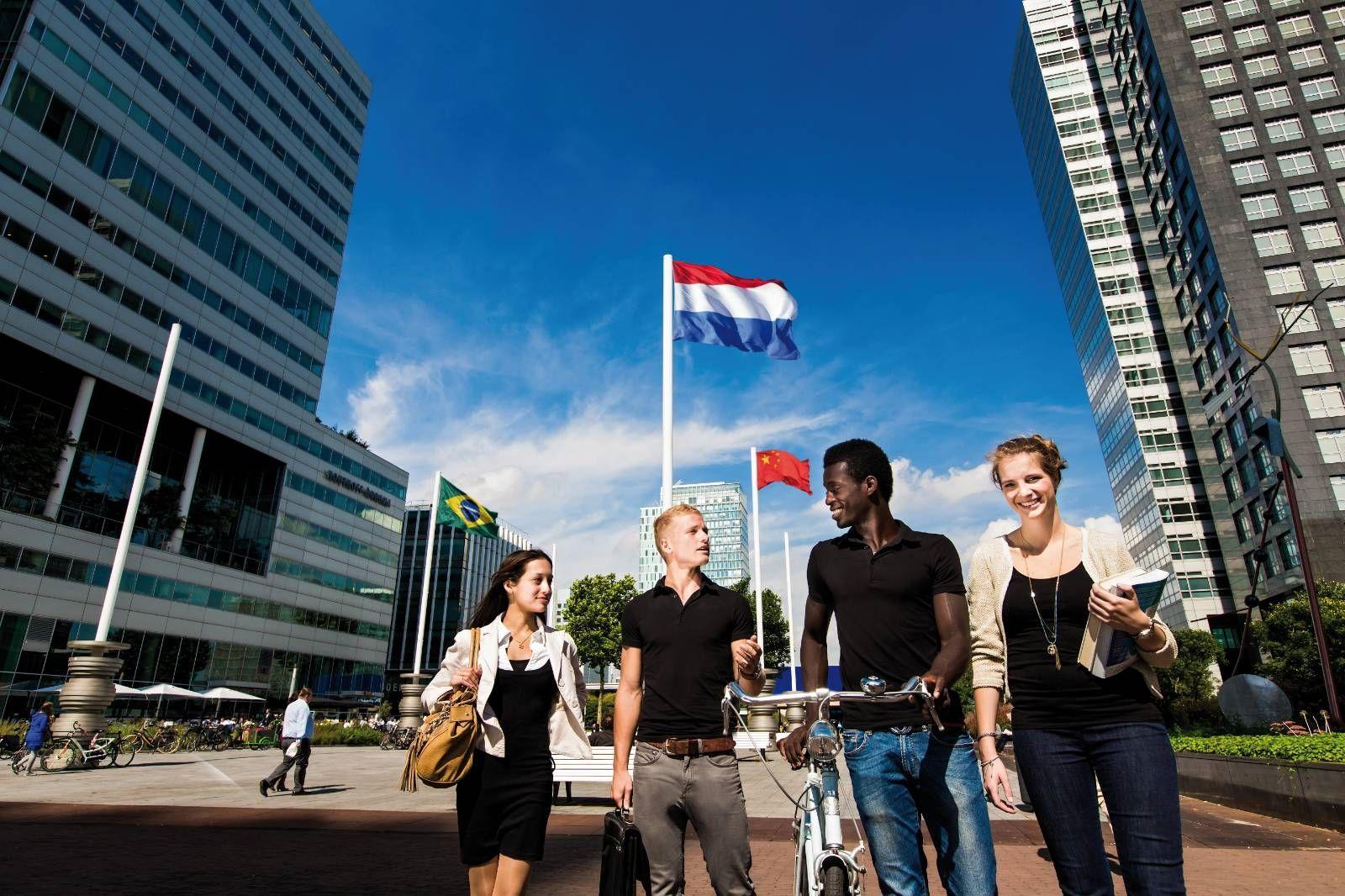alt - Нидерланды, Videourok 2 — Amsterdam University of Applied Sciences, , 9