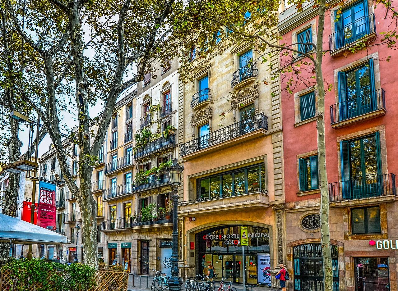 alt - Испания, Graduate School of Management in Barcelona, Магистратура, 7