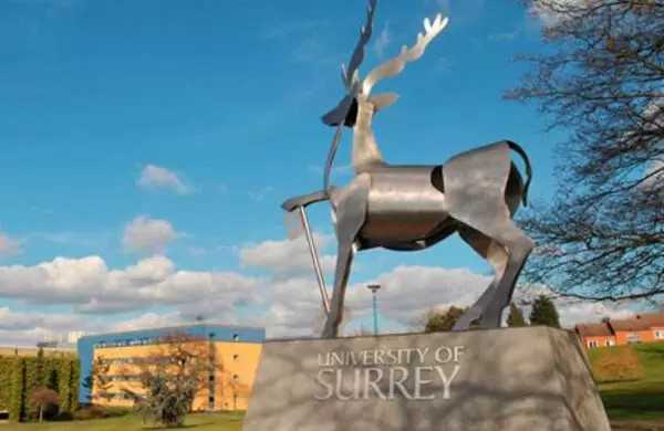 alt - , University of Surrey (Університет Суррея), , 3