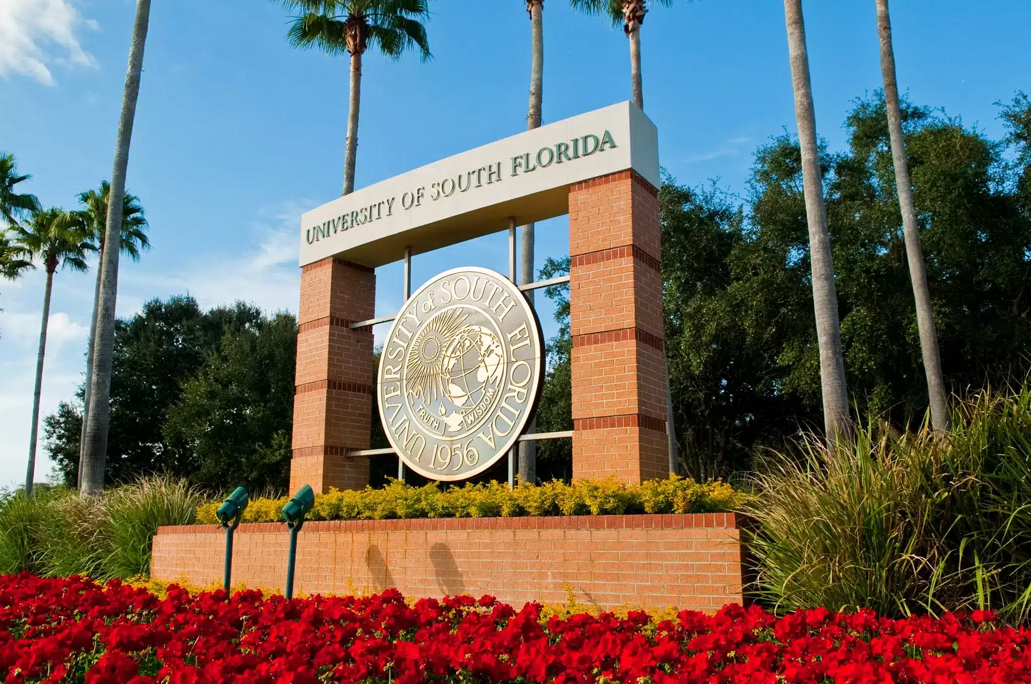 alt - , University of South Florida (Південно-Флоридський університет), , 11