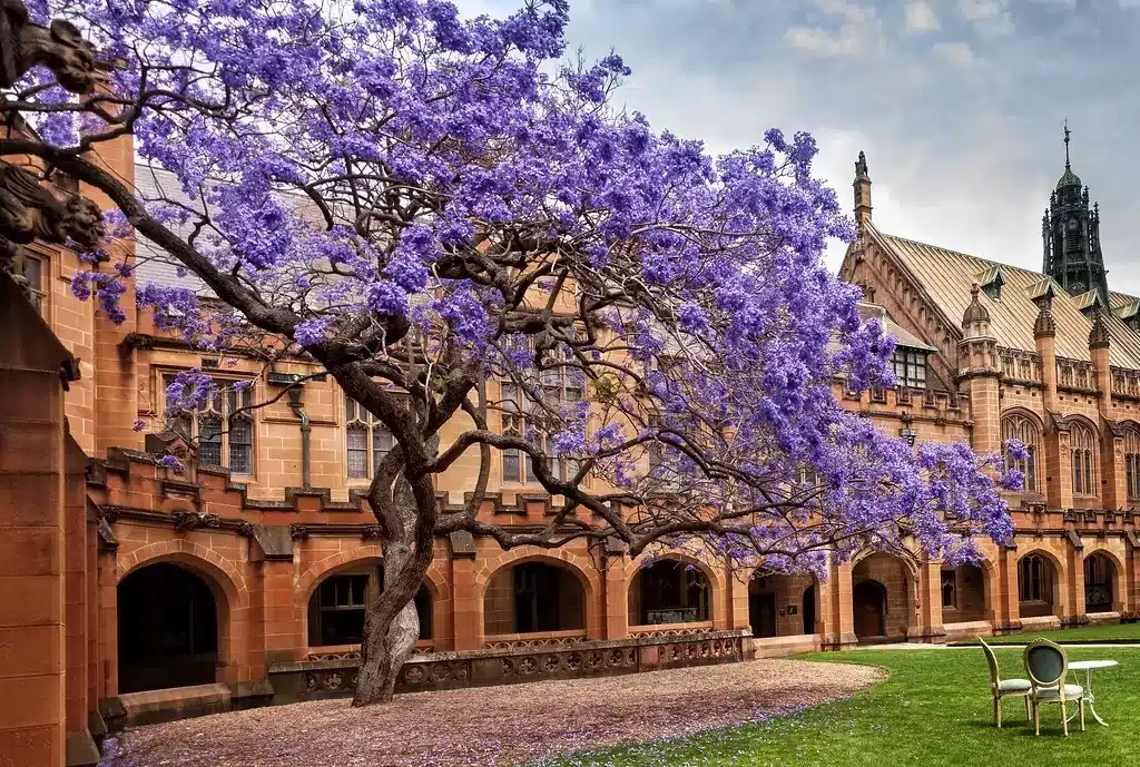 alt - , University of Sydney (Сіднейський університет), , 3