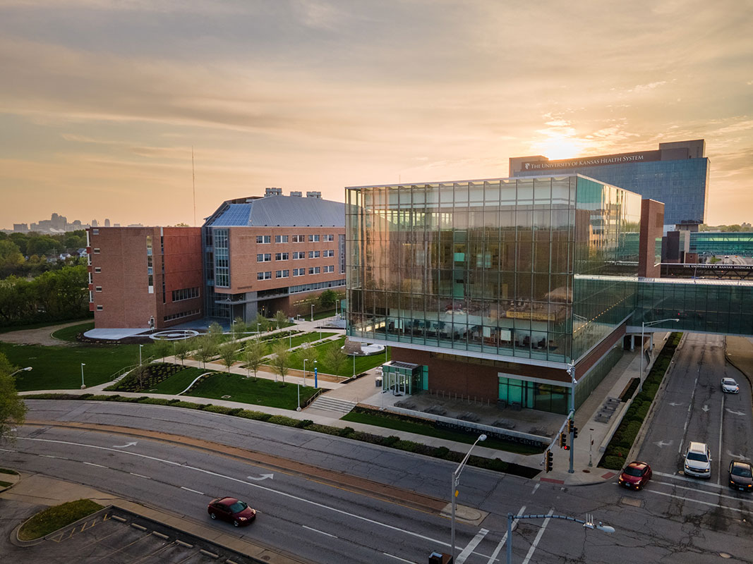 University of Kansas у Лоуренсі - study.ua