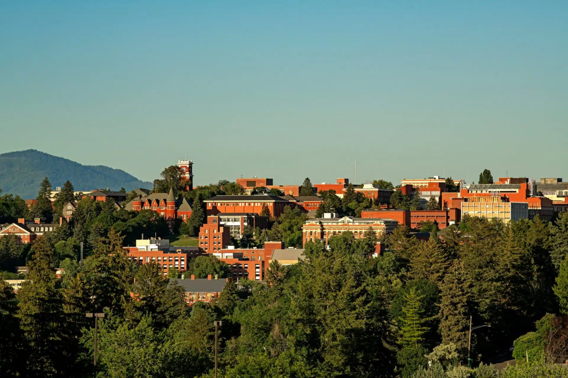 Вид з вікна Washington State University