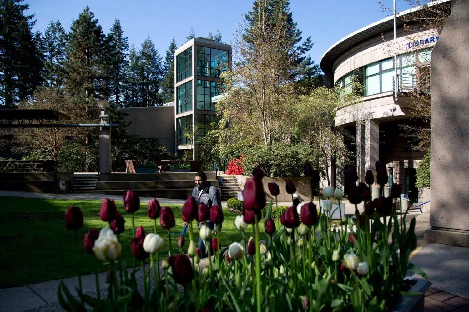 Capilano University снаружи