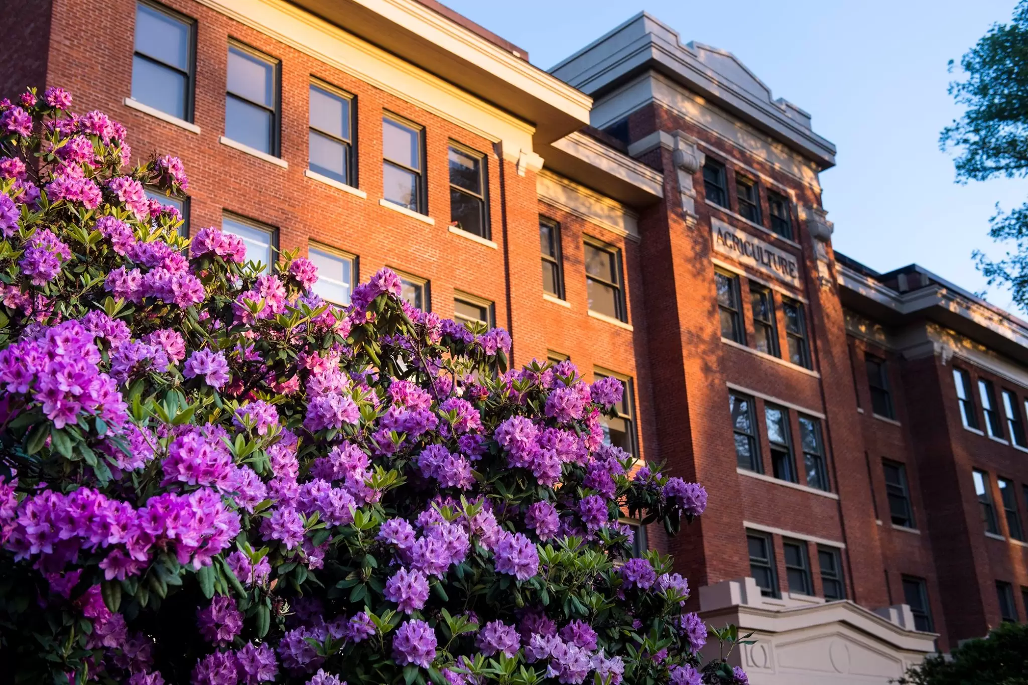 Фасад Oregon State University