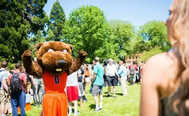 Маскот Oregon State University