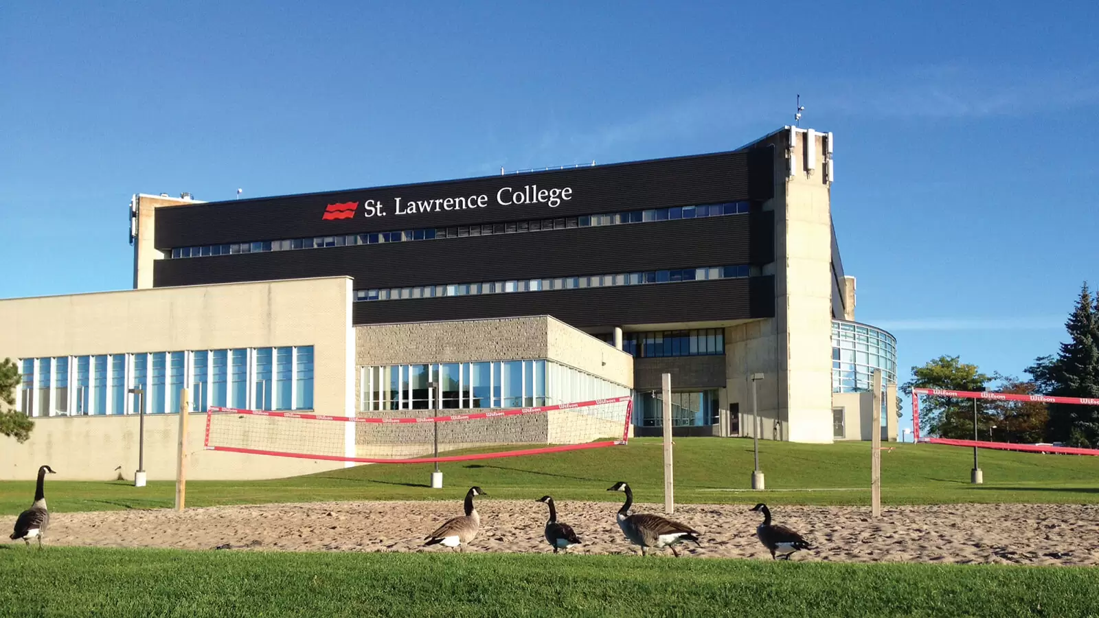 St.Lawrence College у Кінгстоні - study.ua