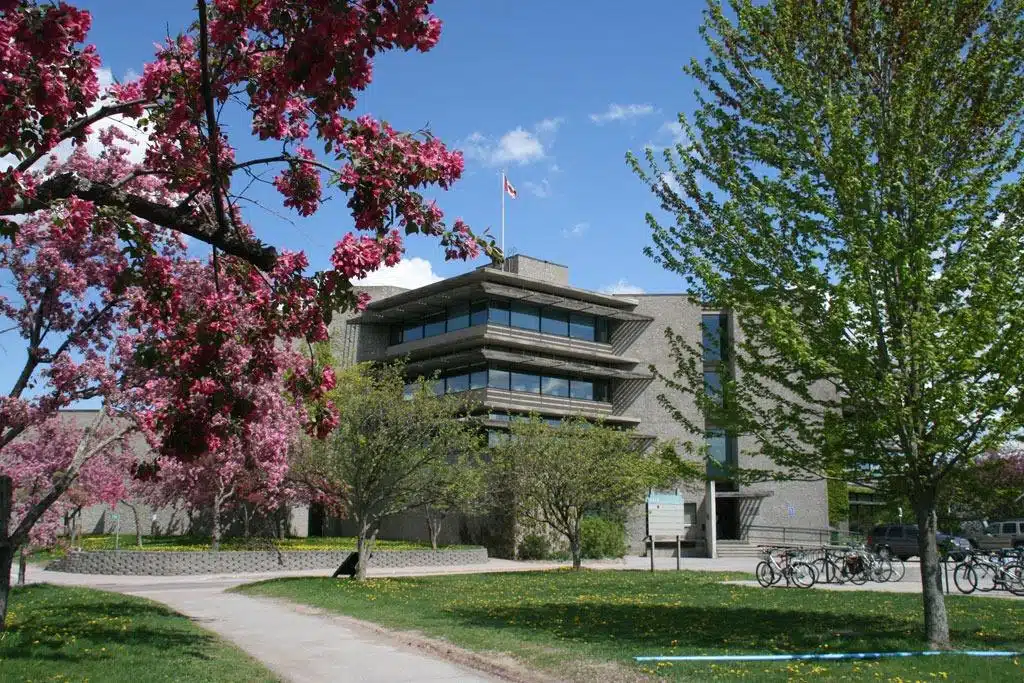 внутрений двор Trent University