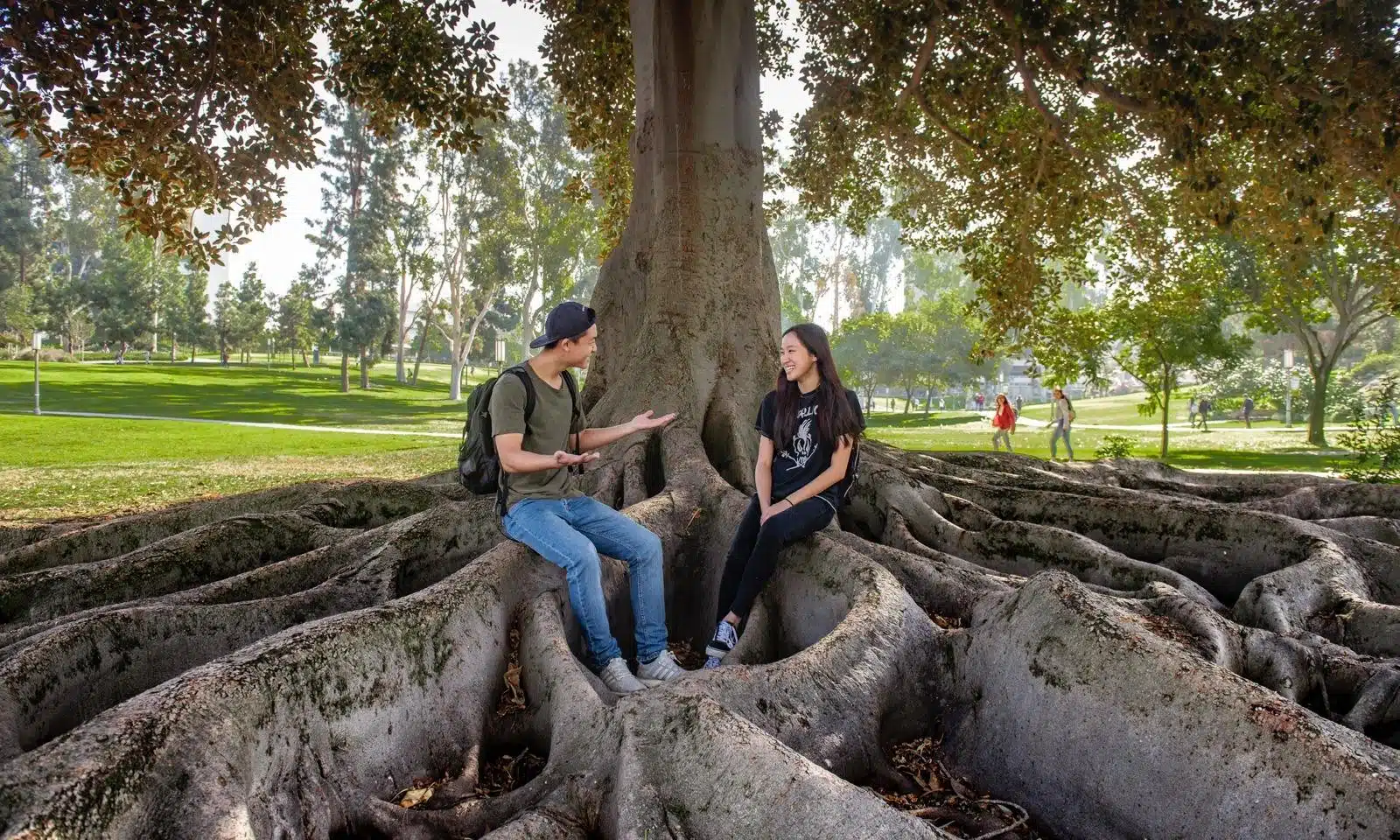 Свободное время студентов University of California Irvine