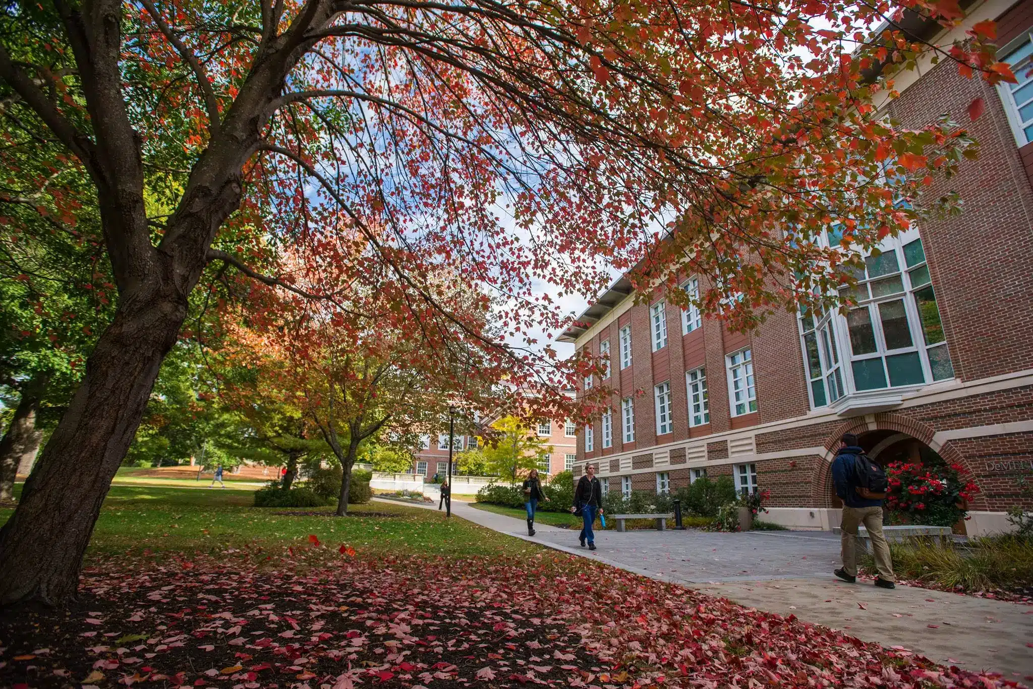 корпус University of New Hampshire