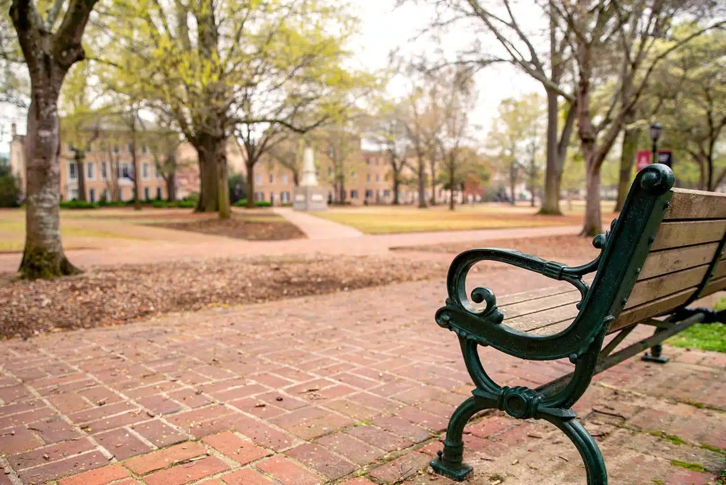 територия University of South Carolina