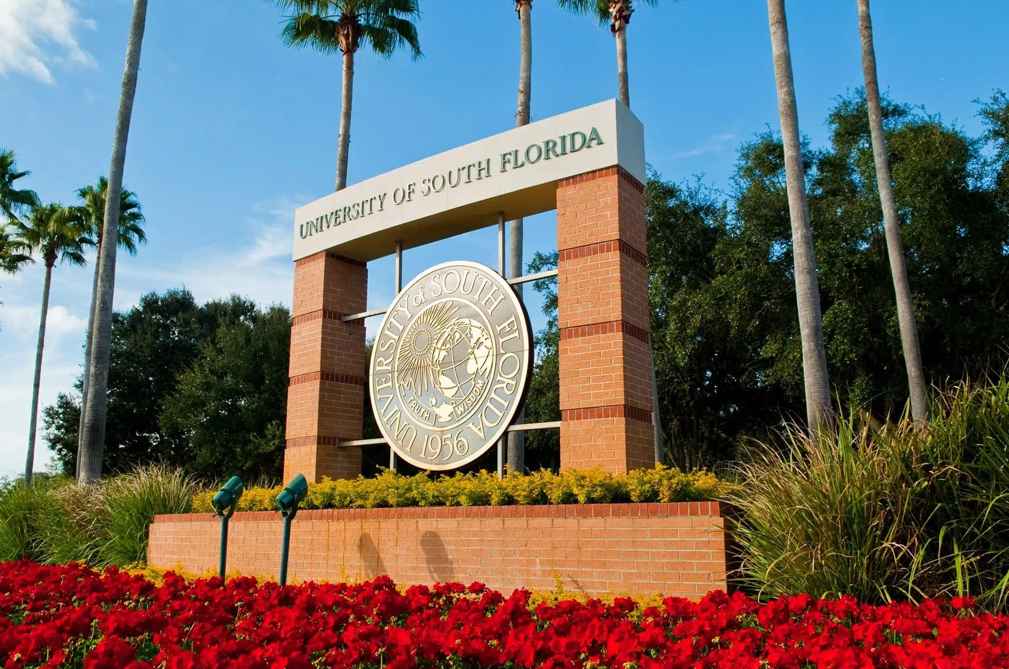 вывеска факультета психології University of South Florida