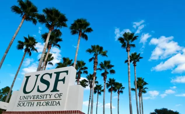 вивіска University of South Florida