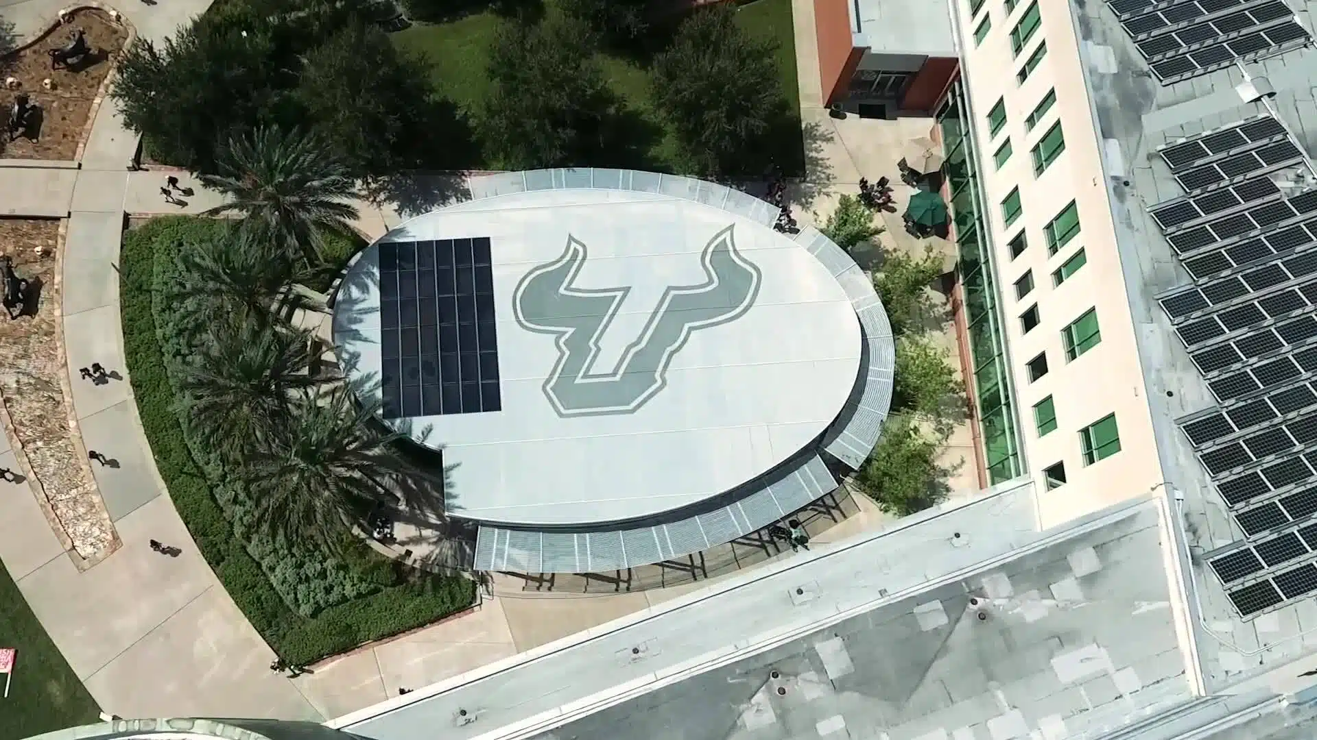 герб University of South Florida