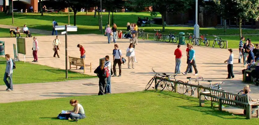 На территории University of Sussex