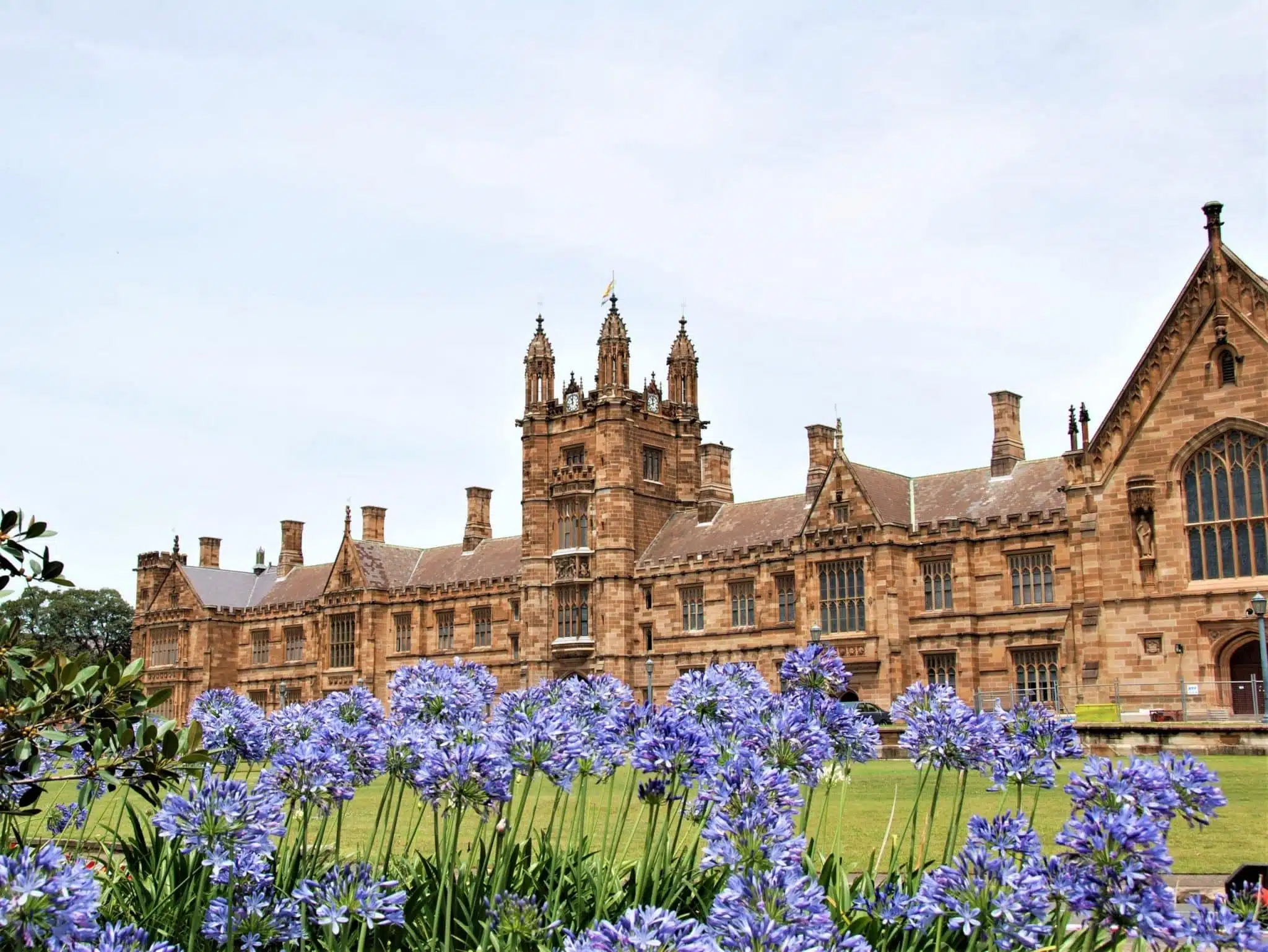 На территории University of Sydney