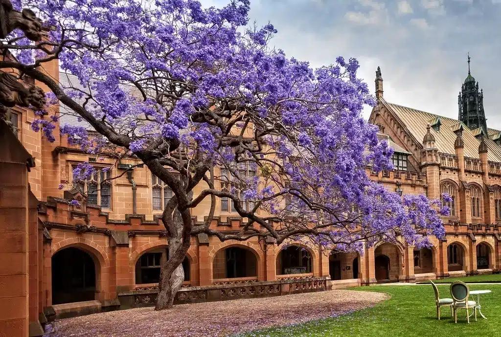 Кампус University of Sydney