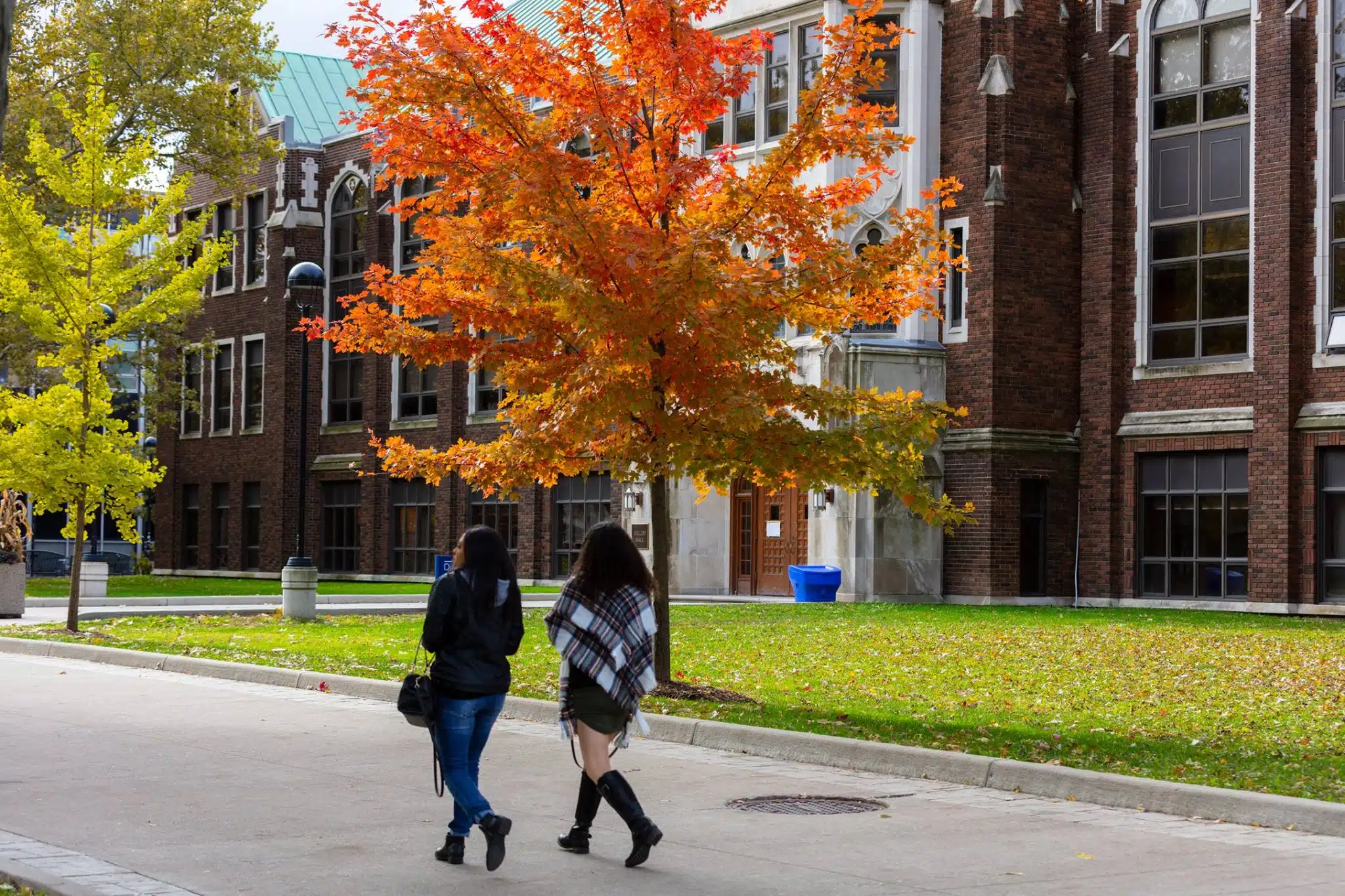 На территории University of Windsor