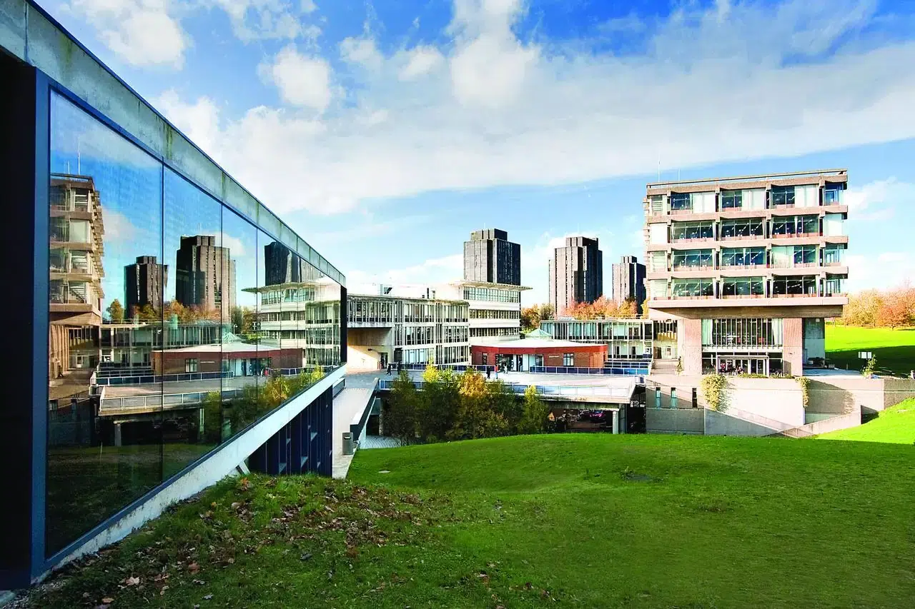 Вид с окна University of Essex