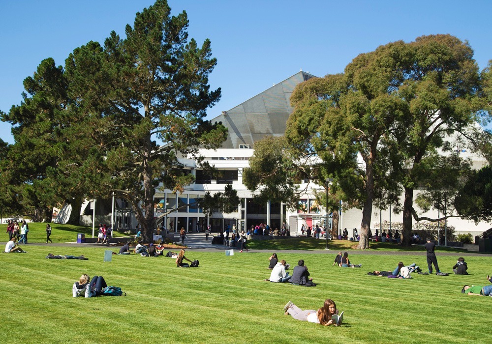 San Francisco State University, територия