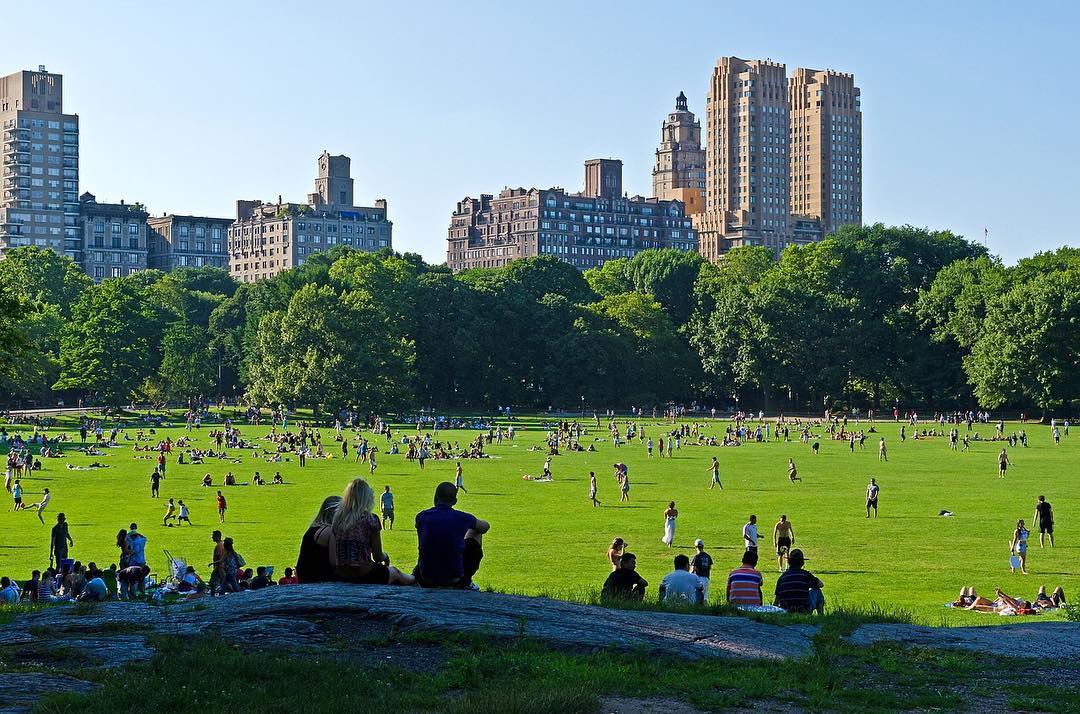 LIU Brooklyn, США