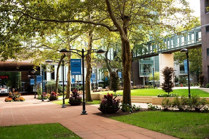 LIU Brooklyn, університет